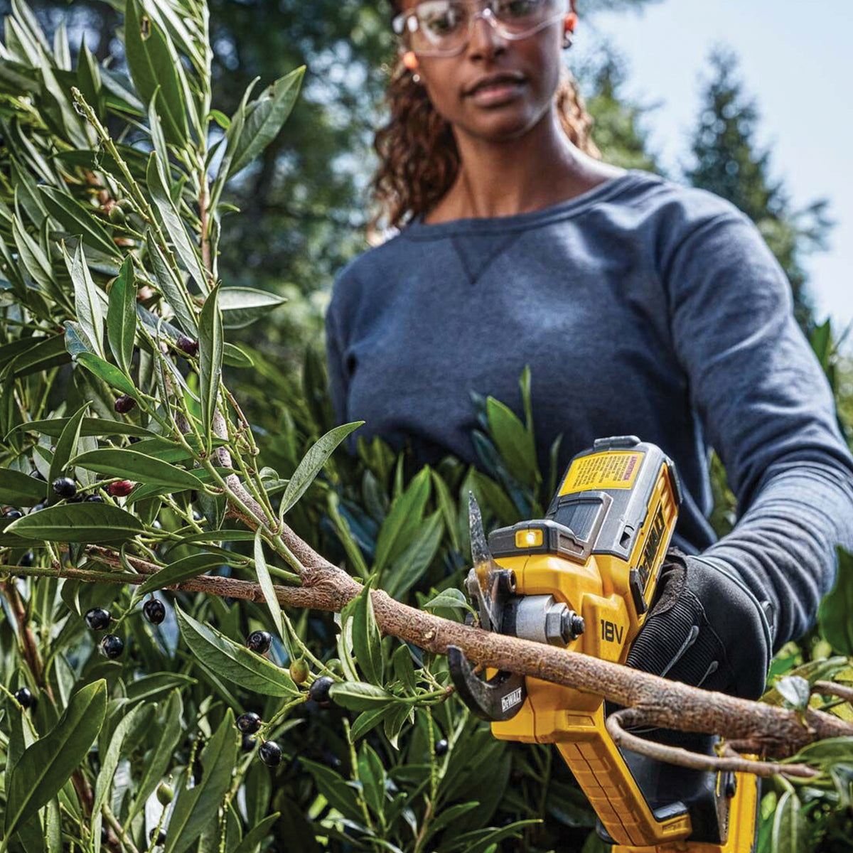 18V XR 5.0Ah Scissor Pruner in TSTACK CASE and ACCESSORIES - DeWALT - DCMPP568P1-QW 18V XR 5.0Ah Scissor Pruner in TSTACK CASE and ACCESSORIES - DeWALT - DCMPP568P1-QW